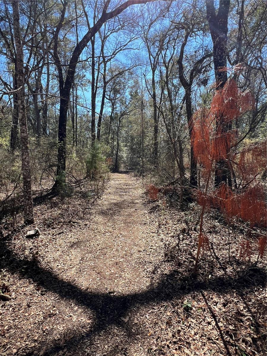 Image 15 of 22 For 0 Se Elisha Boulevard