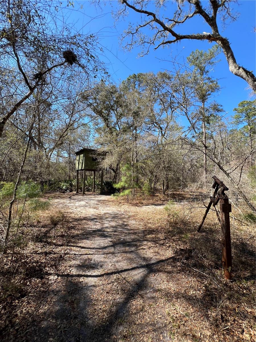 Image 7 of 22 For 0 Se Elisha Boulevard