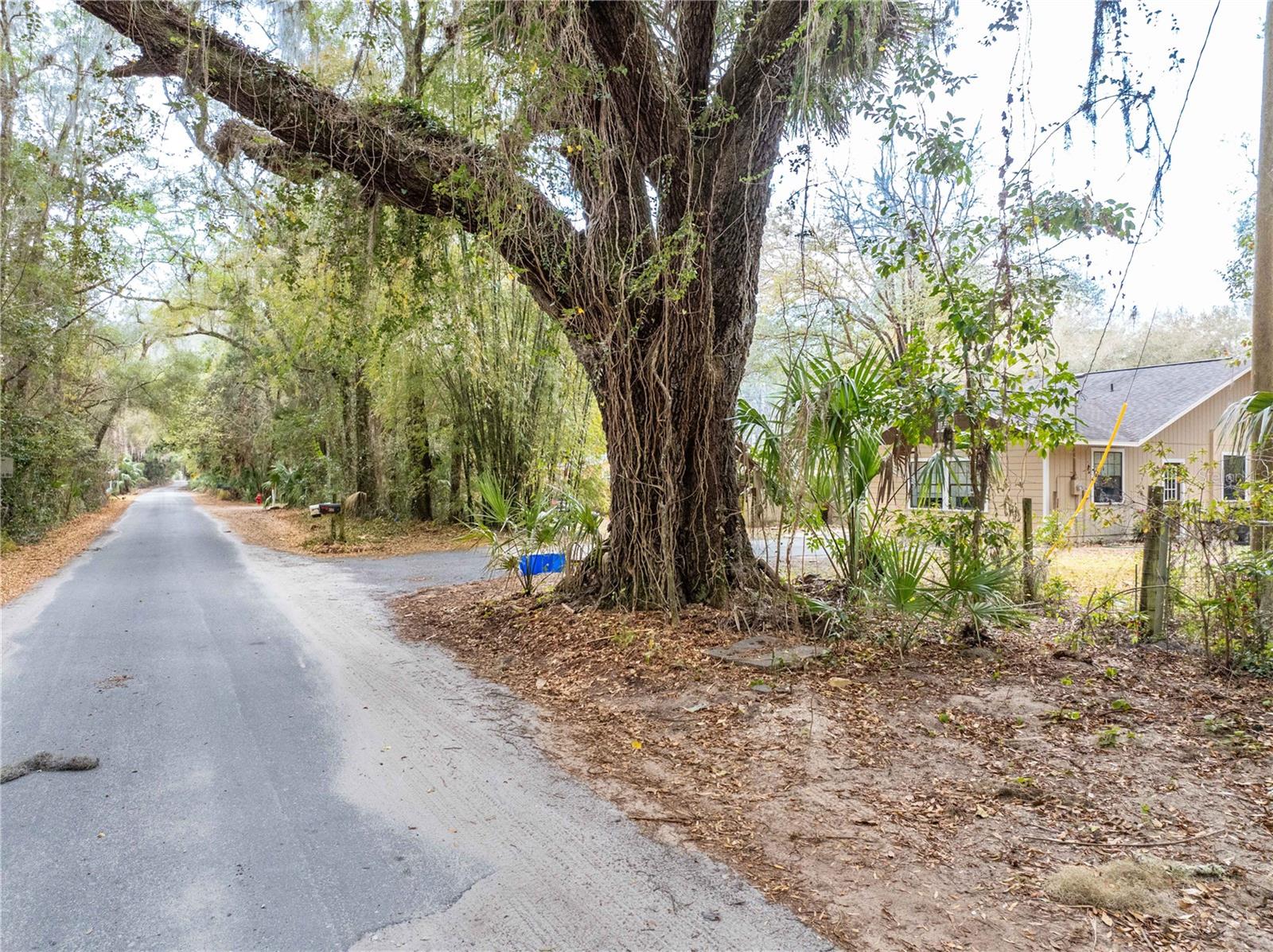 Image 22 of 40 For 304 Whiting Street