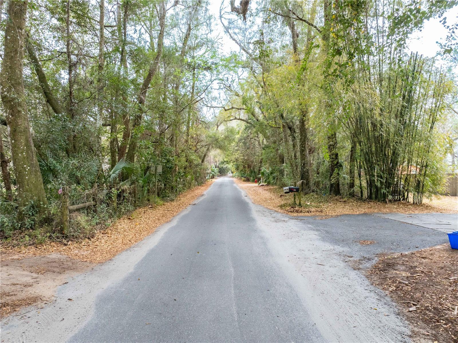 Image 23 of 40 For 304 Whiting Street