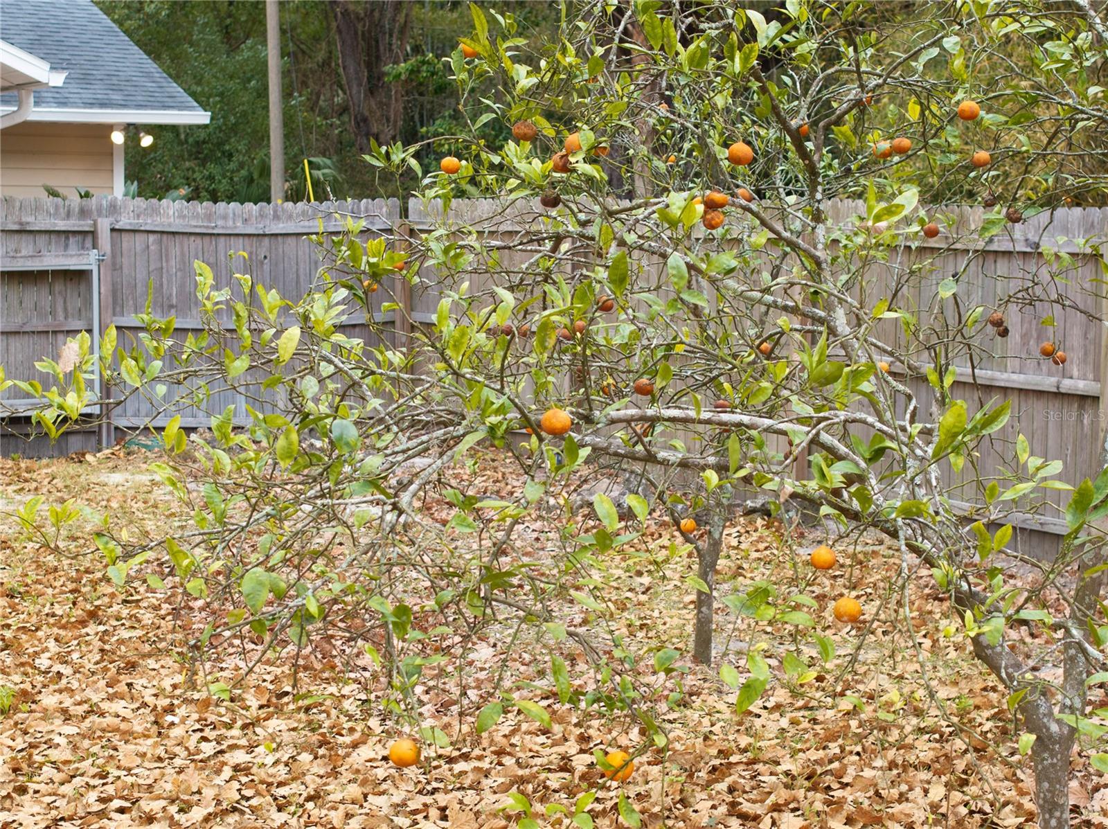 Image 33 of 40 For 304 Whiting Street