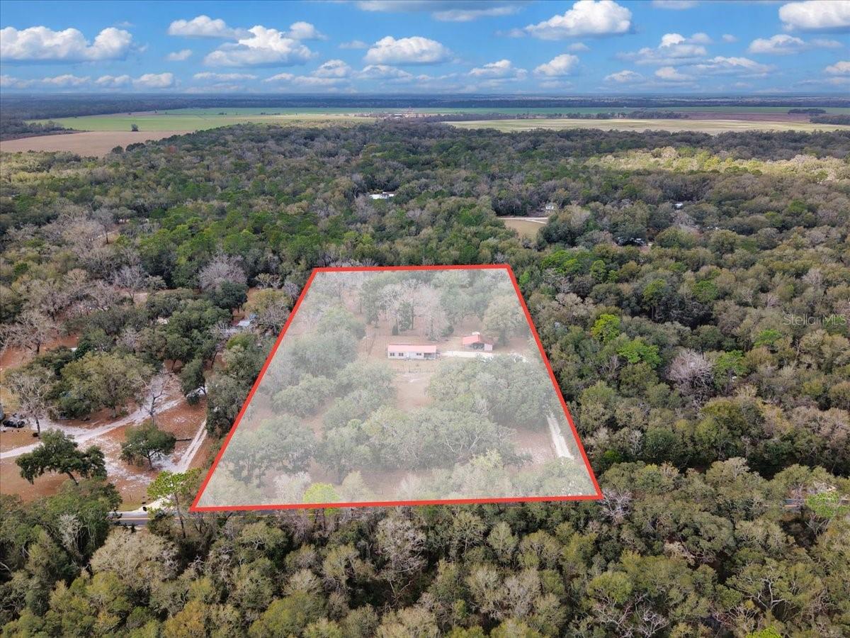 Image 34 of 40 For 12290 85th Avenue