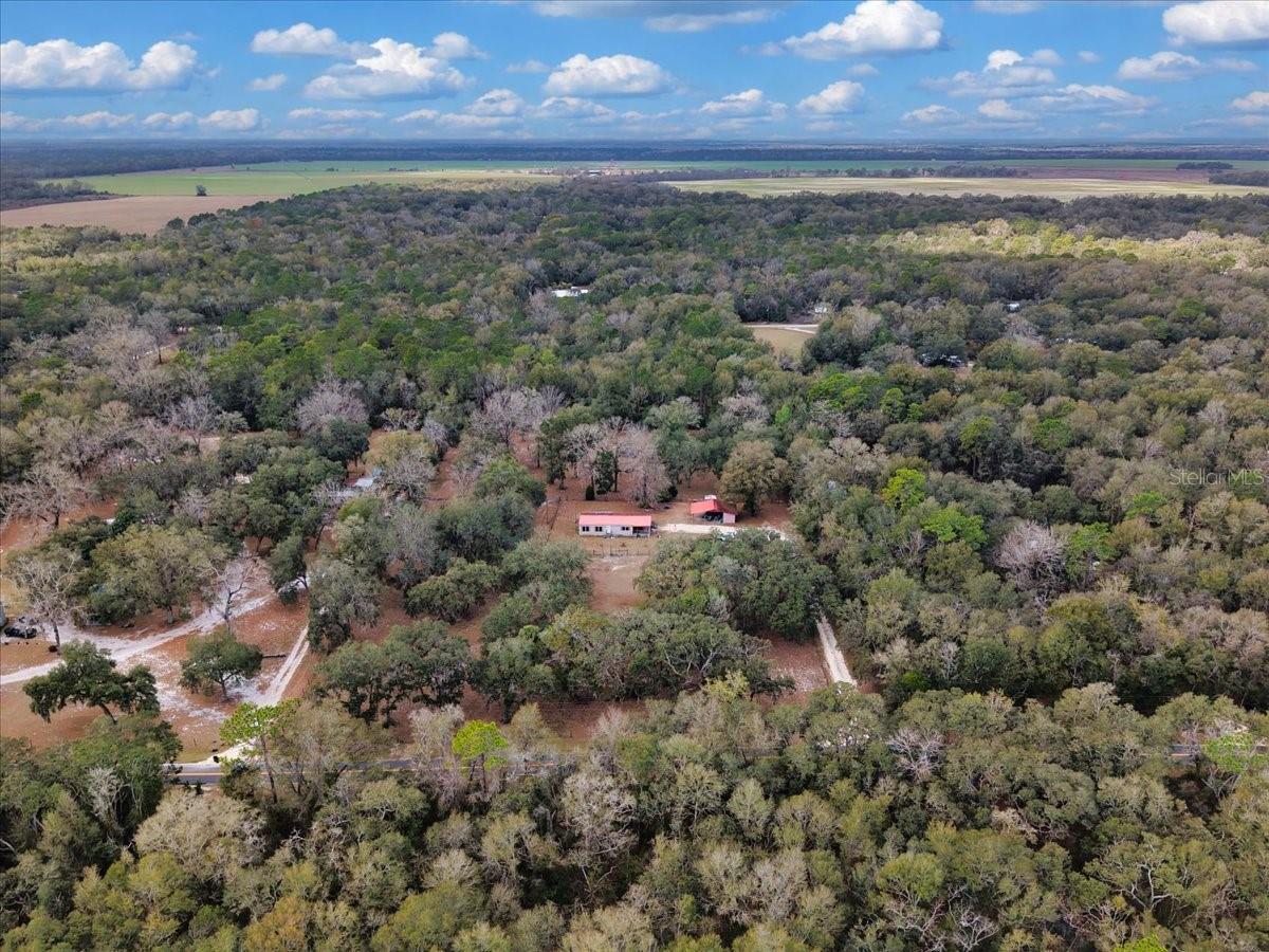 Image 37 of 40 For 12290 85th Avenue