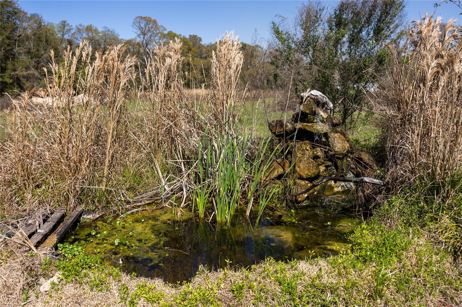 Image 43 of 52 For 25228 158th Avenue