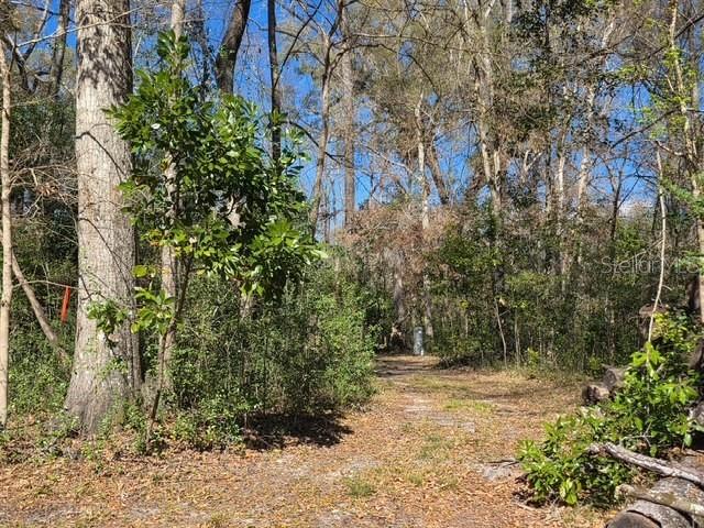 Image 8 of 26 For 1187 Boston Terrace