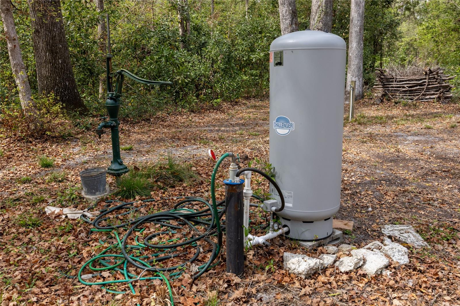 Image 9 of 26 For 1187 Boston Terrace