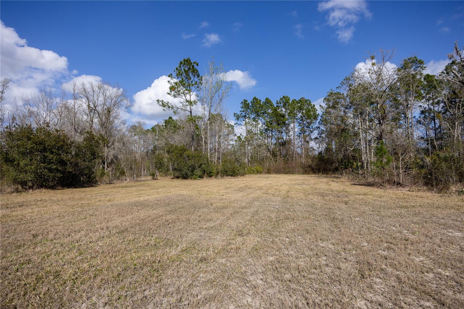 Image 40 of 62 For 122 Cypress Drive