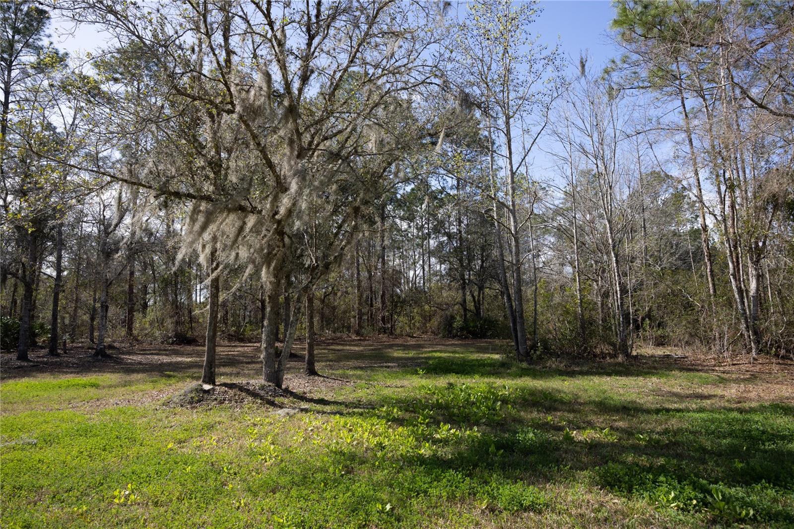 Image 43 of 62 For 122 Cypress Drive