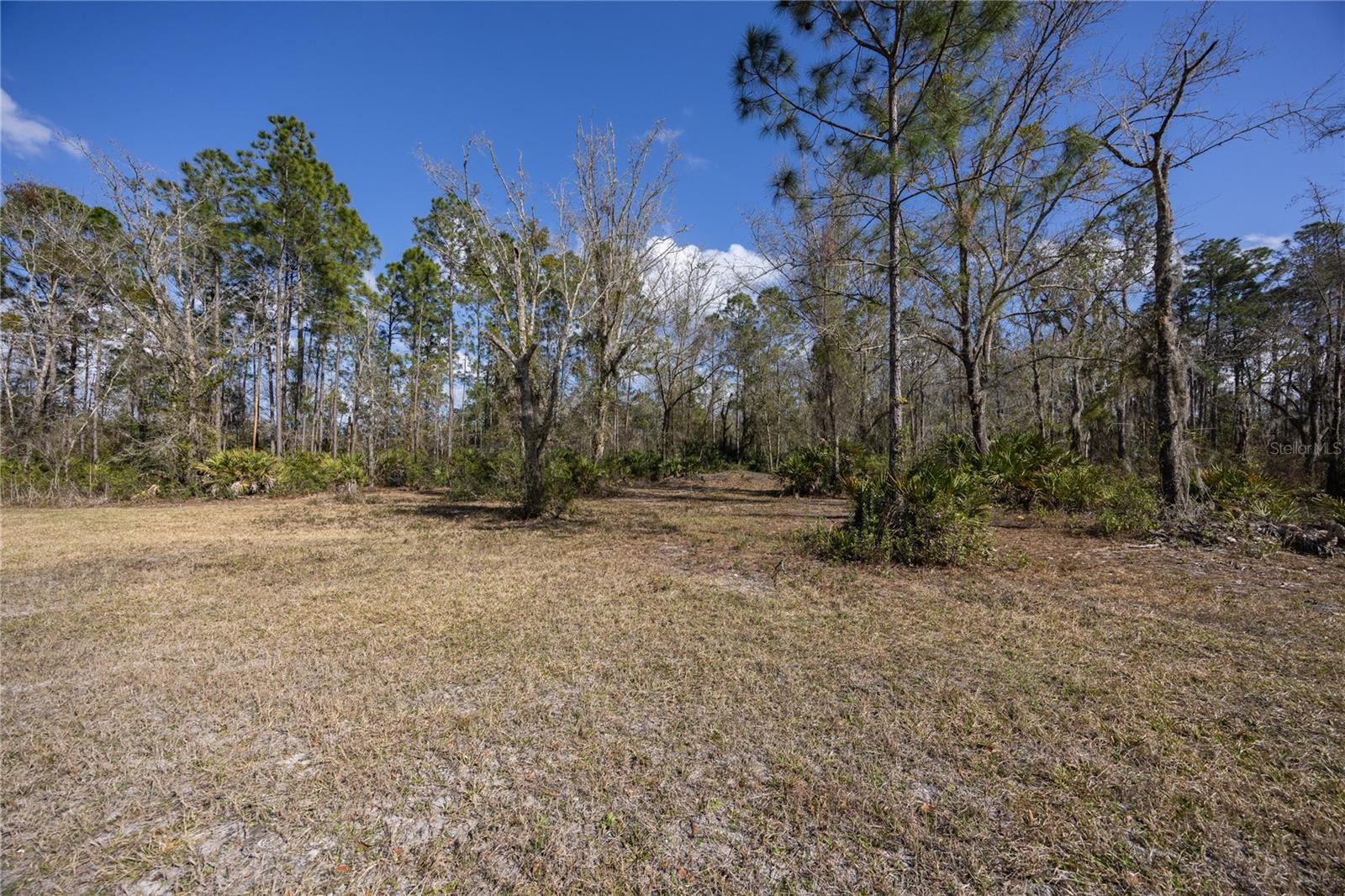 Image 44 of 62 For 122 Cypress Drive