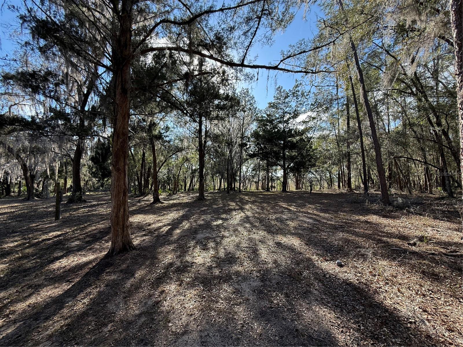 Image 22 of 24 For 17830 49th Street Road