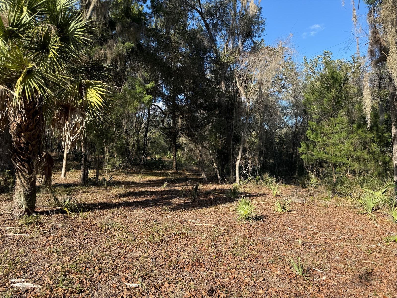 Image 24 of 24 For 17830 49th Street Road