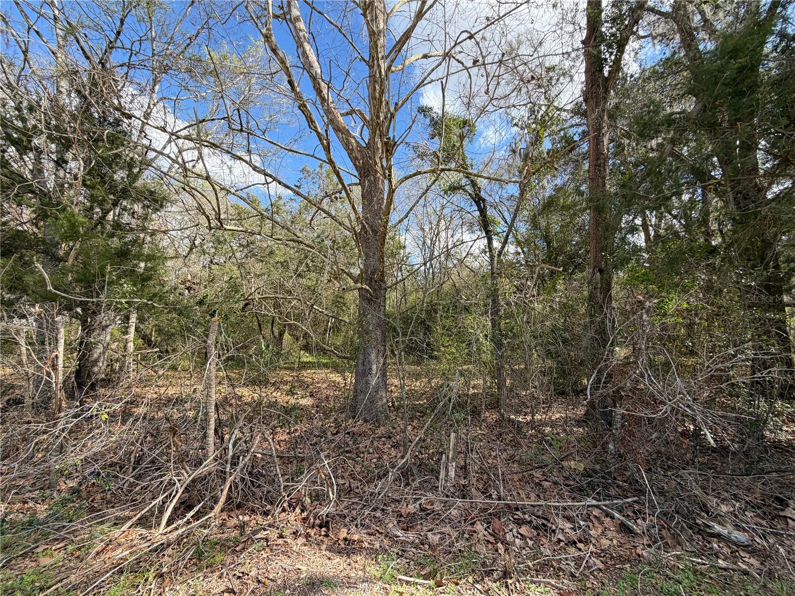 Image 3 of 8 For 13201 Archer Lane