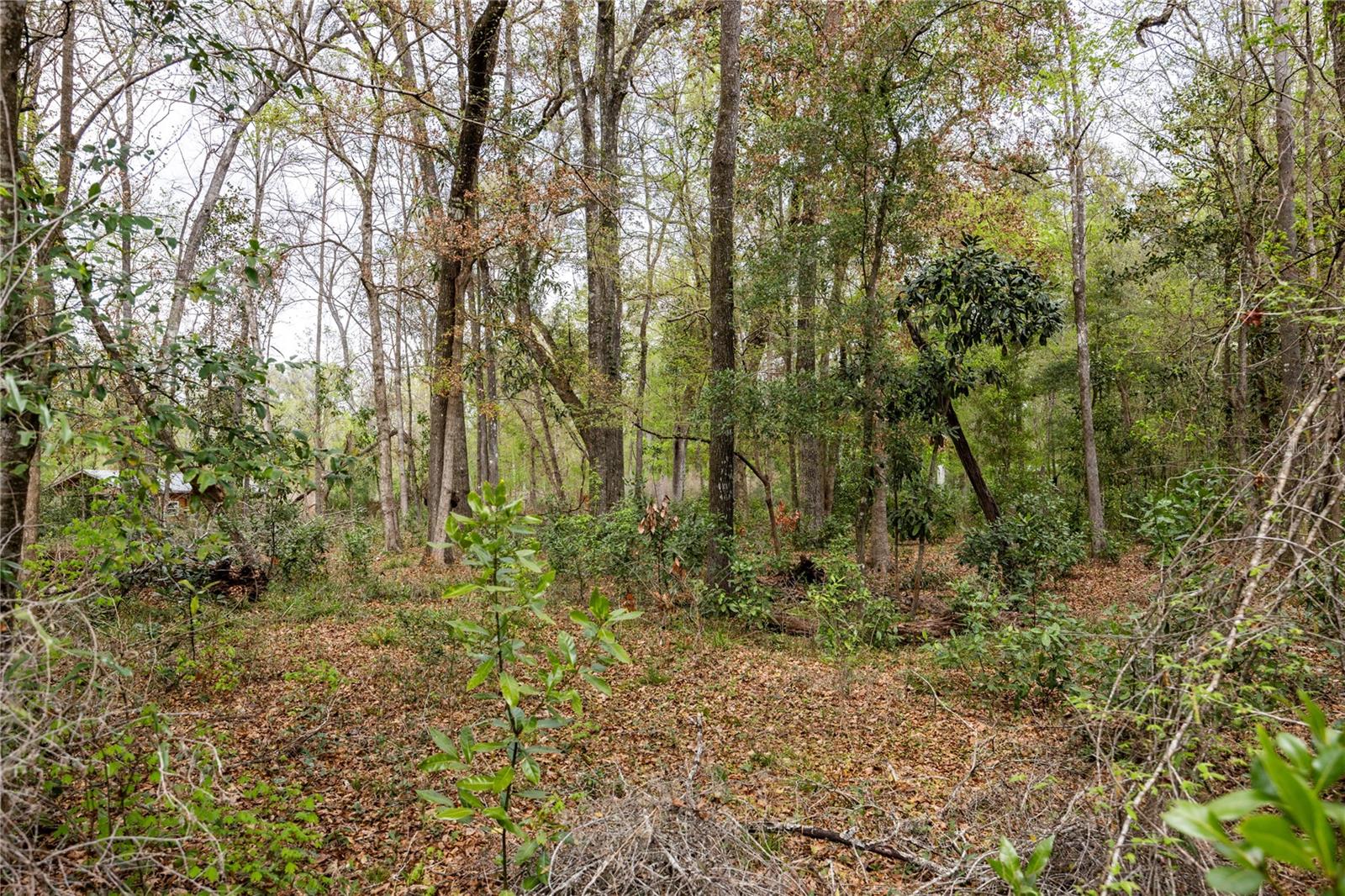 Details for Lot 45 Boston Terrace, FORT WHITE, FL 32038