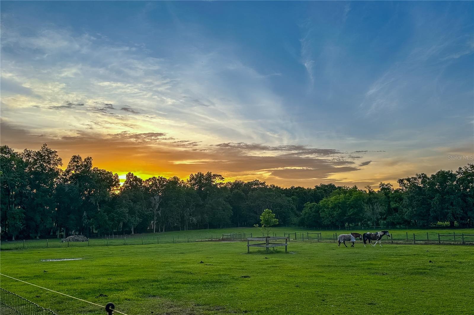 Image 14 of 70 For 16242 130th Street