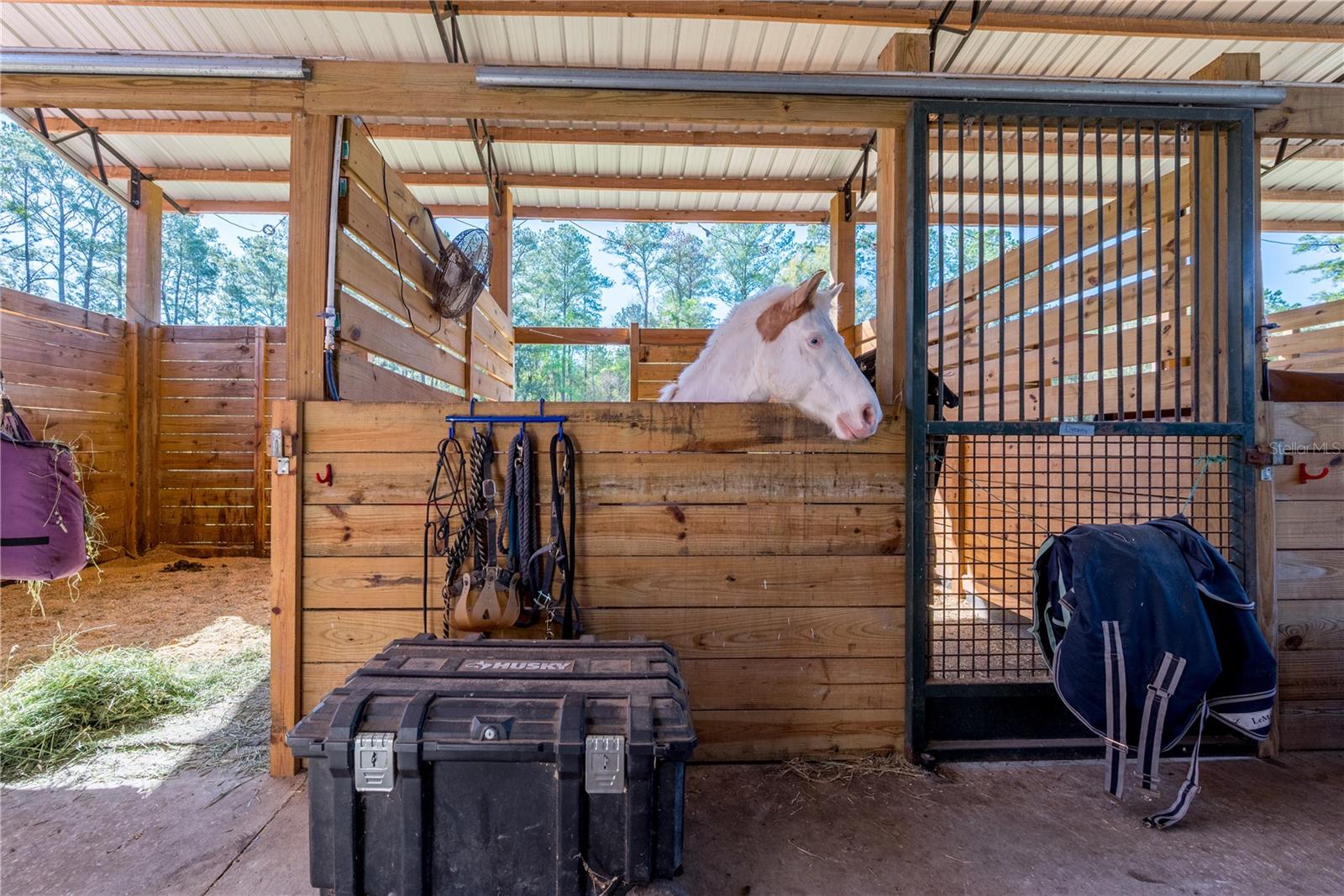 Image 20 of 70 For 16242 130th Street