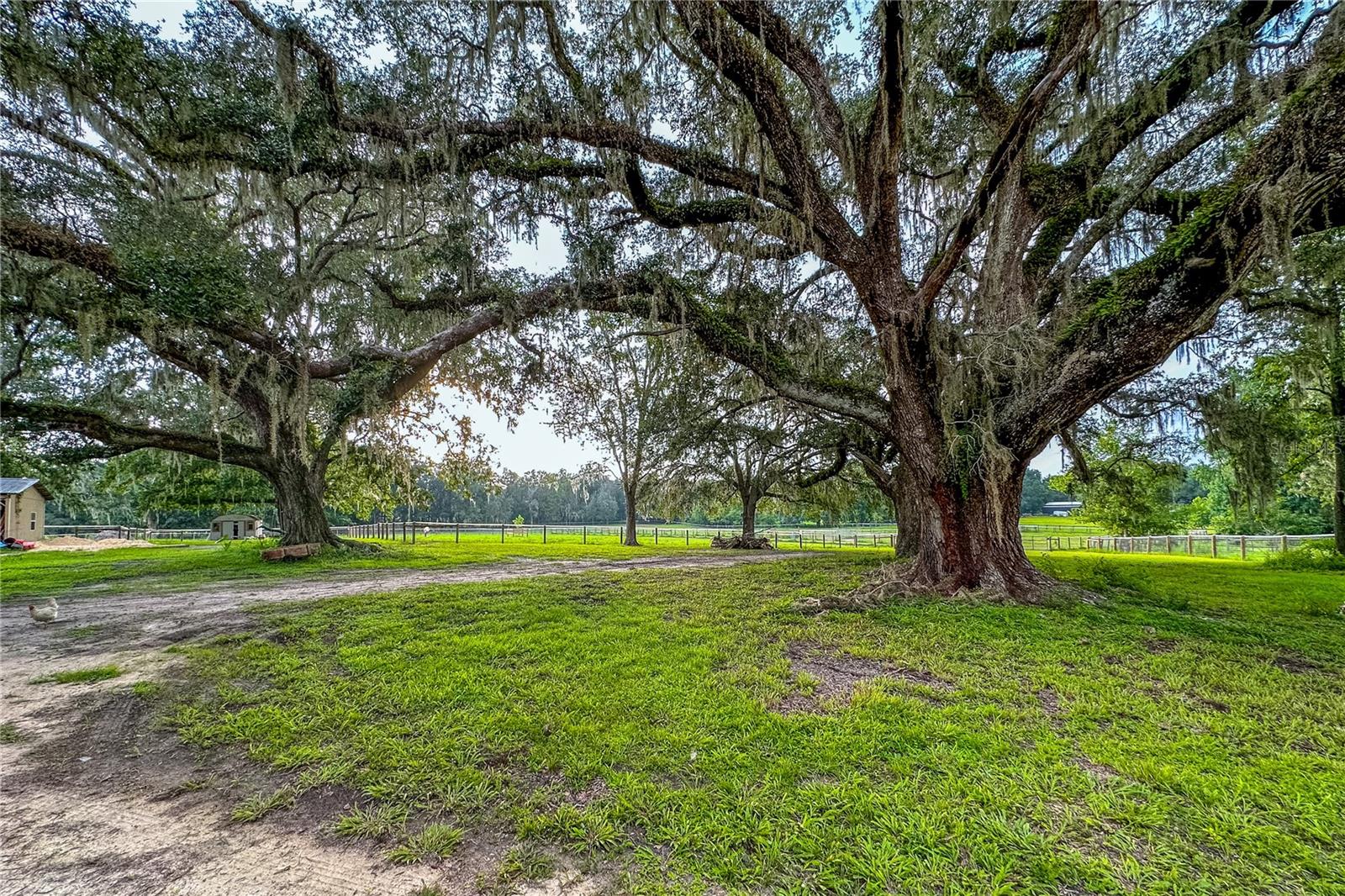 Image 7 of 70 For 16242 130th Street