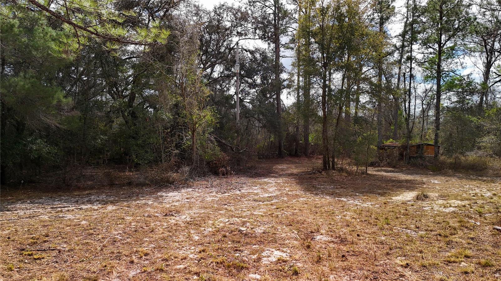 Image 11 of 36 For 237 Highland Drive