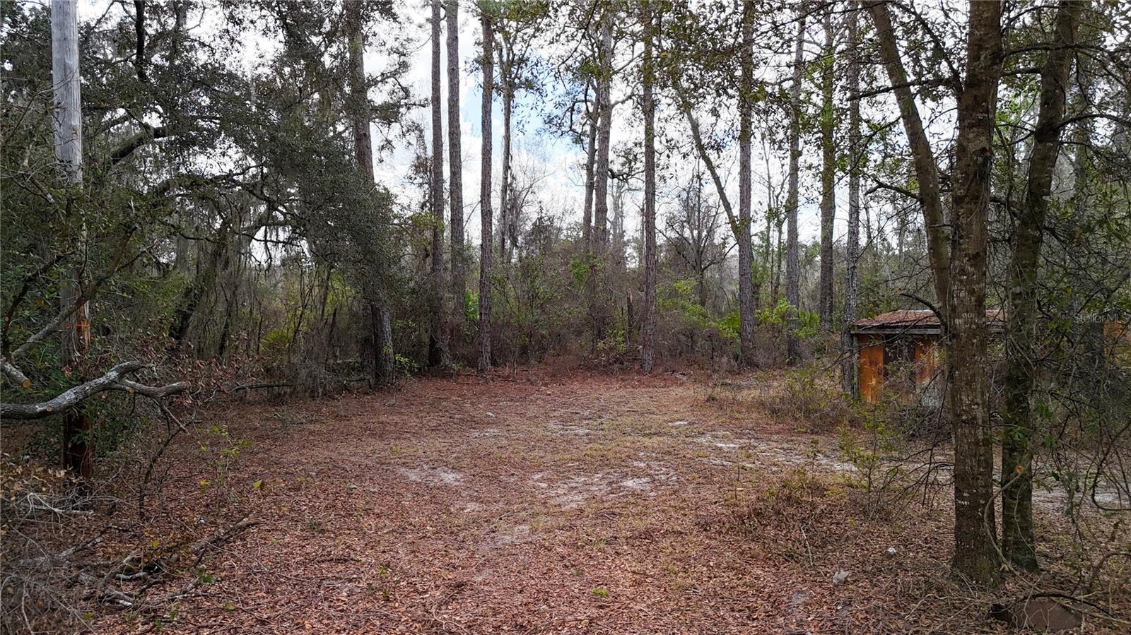 Image 12 of 36 For 237 Highland Drive