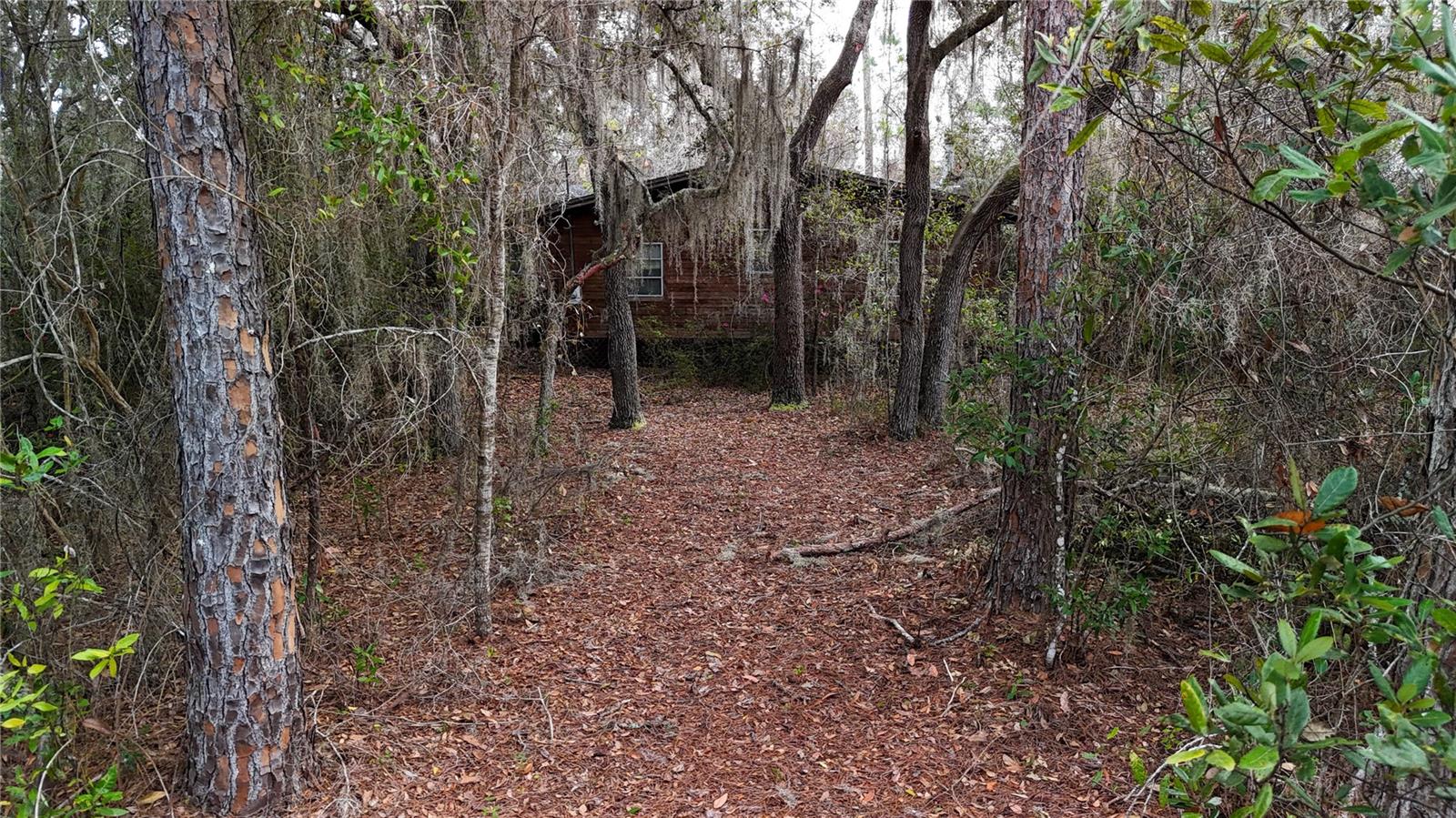 Image 13 of 36 For 237 Highland Drive