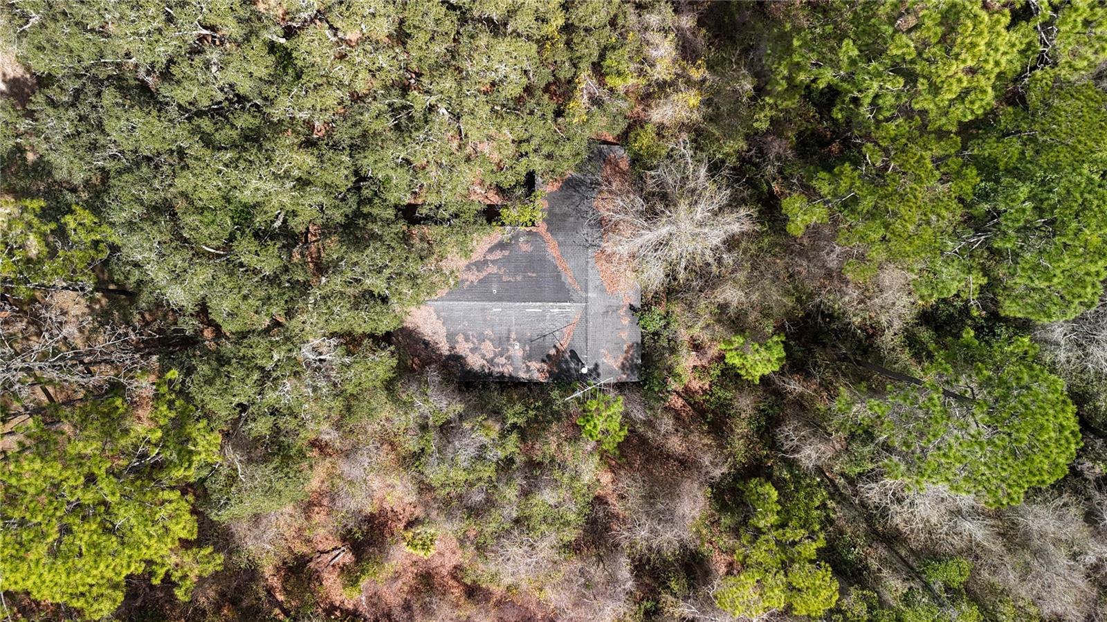 Image 28 of 36 For 237 Highland Drive