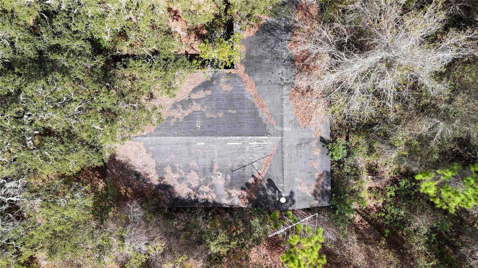 Image 29 of 36 For 237 Highland Drive