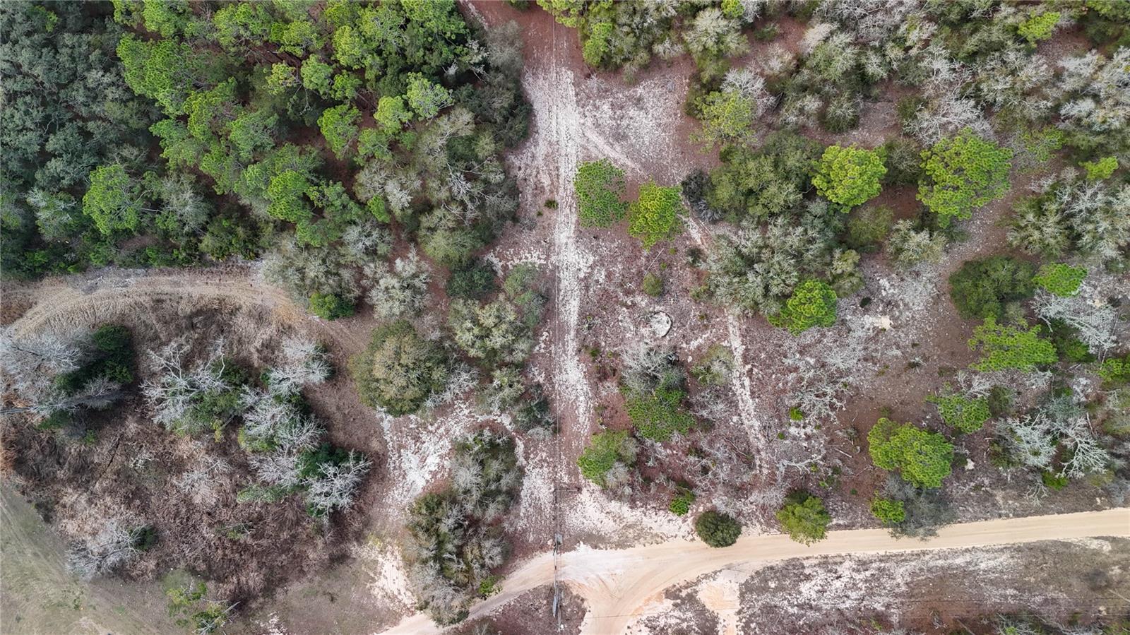 Image 3 of 36 For 237 Highland Drive