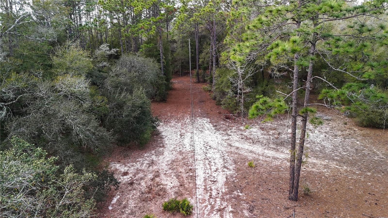 Image 32 of 36 For 237 Highland Drive