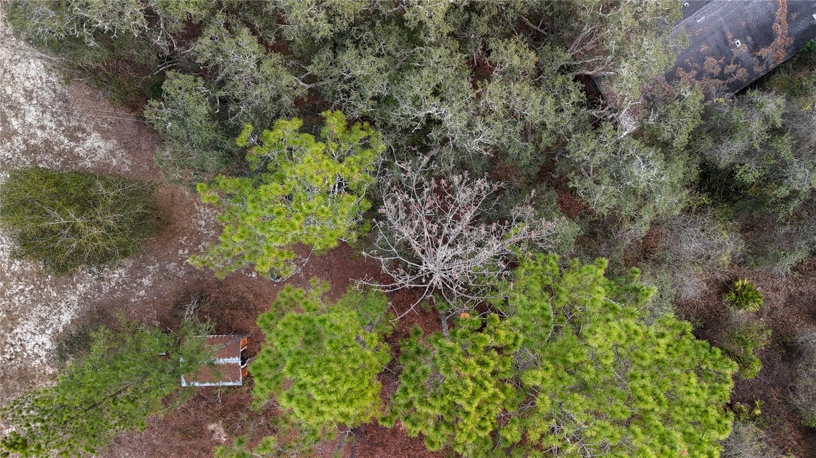 Image 33 of 36 For 237 Highland Drive