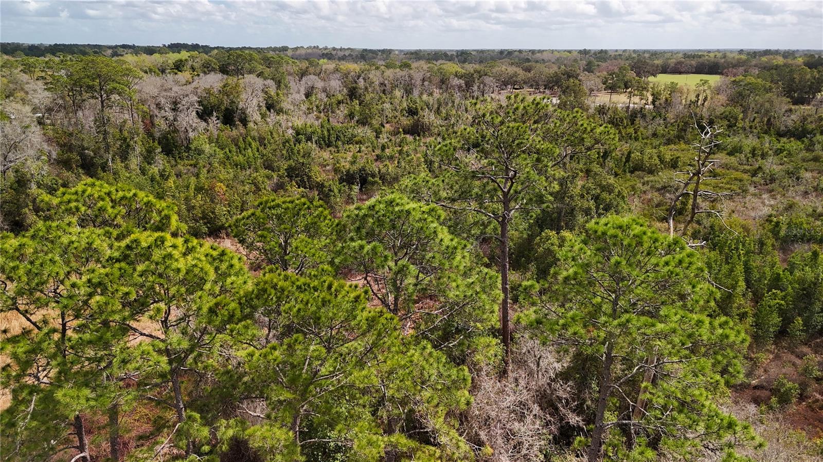 Image 34 of 36 For 237 Highland Drive