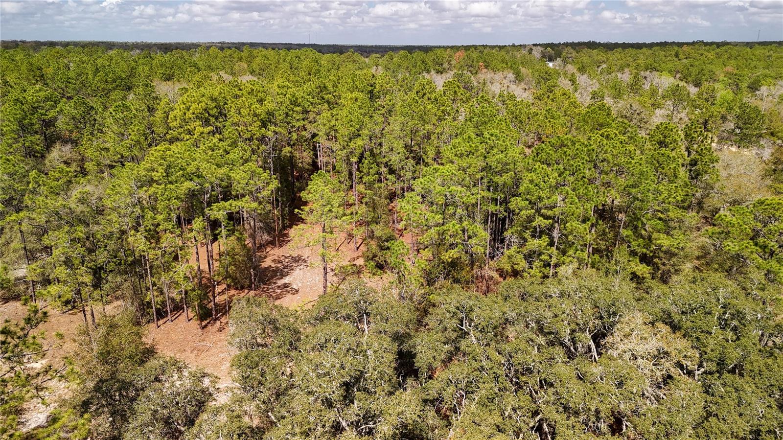 Image 36 of 36 For 237 Highland Drive