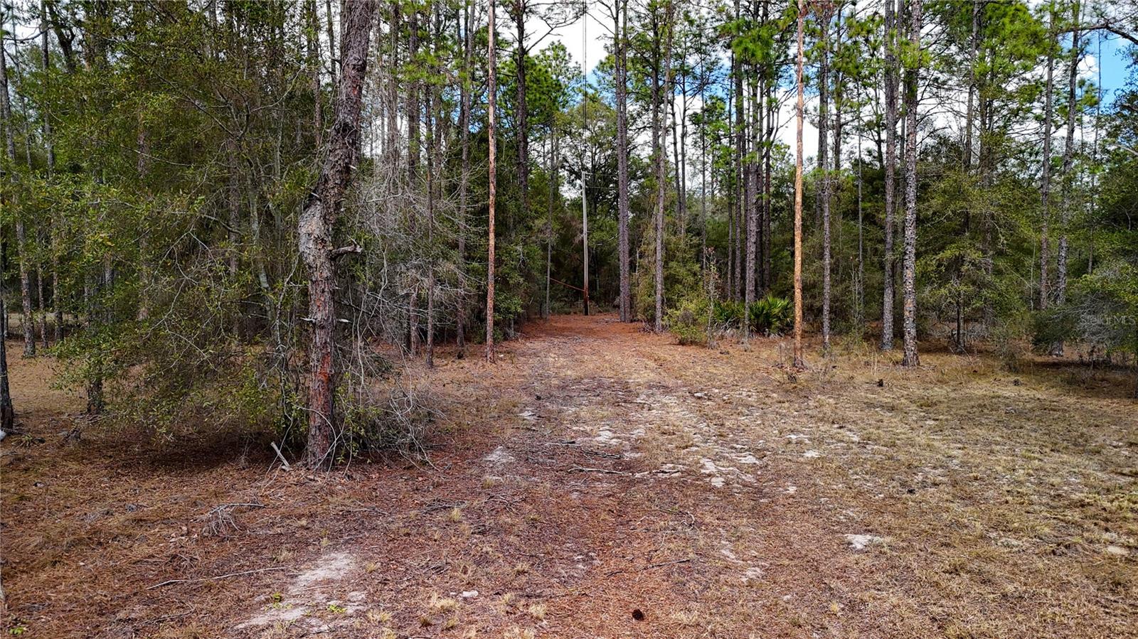 Image 7 of 36 For 237 Highland Drive