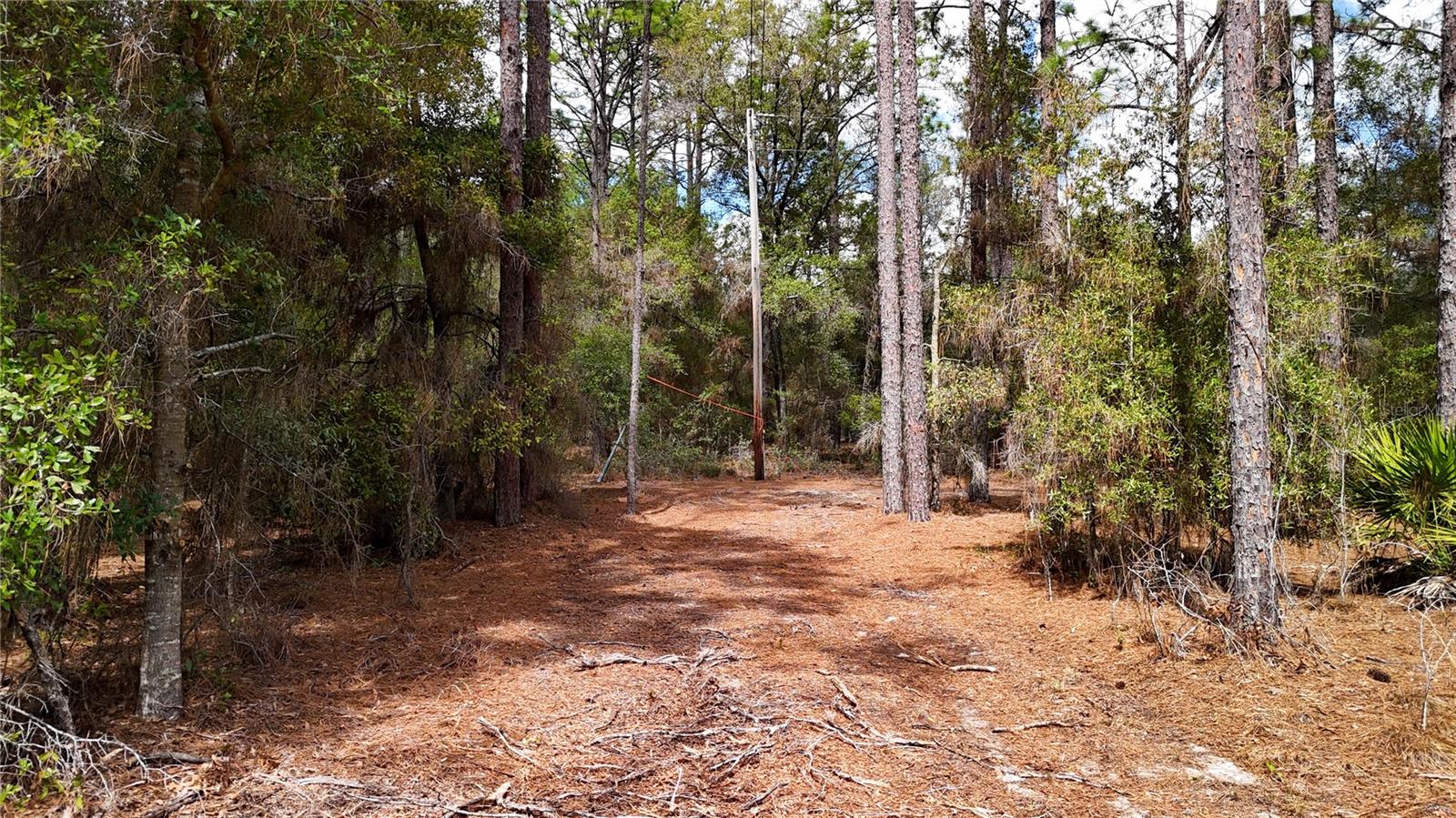 Image 8 of 36 For 237 Highland Drive