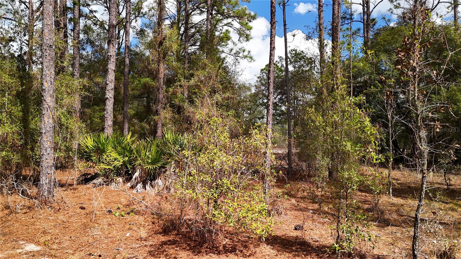 Image 9 of 36 For 237 Highland Drive