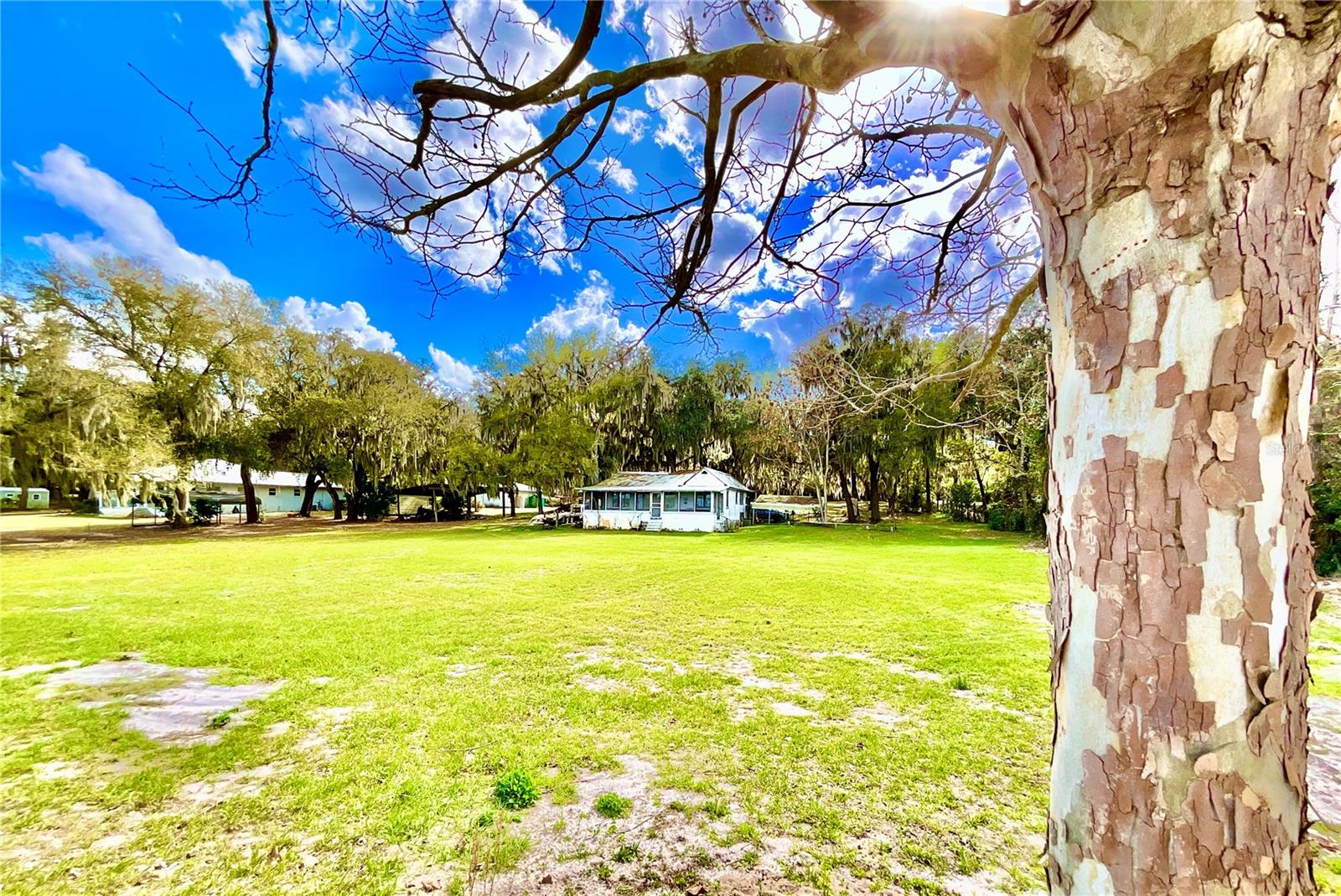 Image 42 of 54 For 106 Sunnyside Beach Road