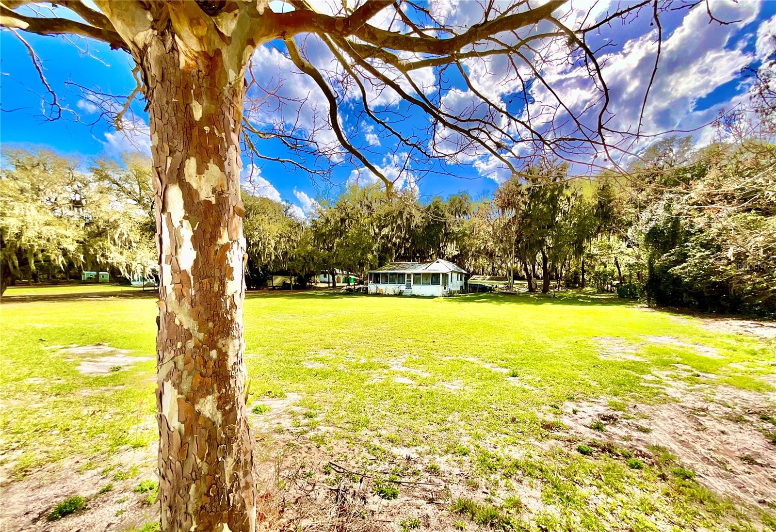 Image 52 of 54 For 106 Sunnyside Beach Road