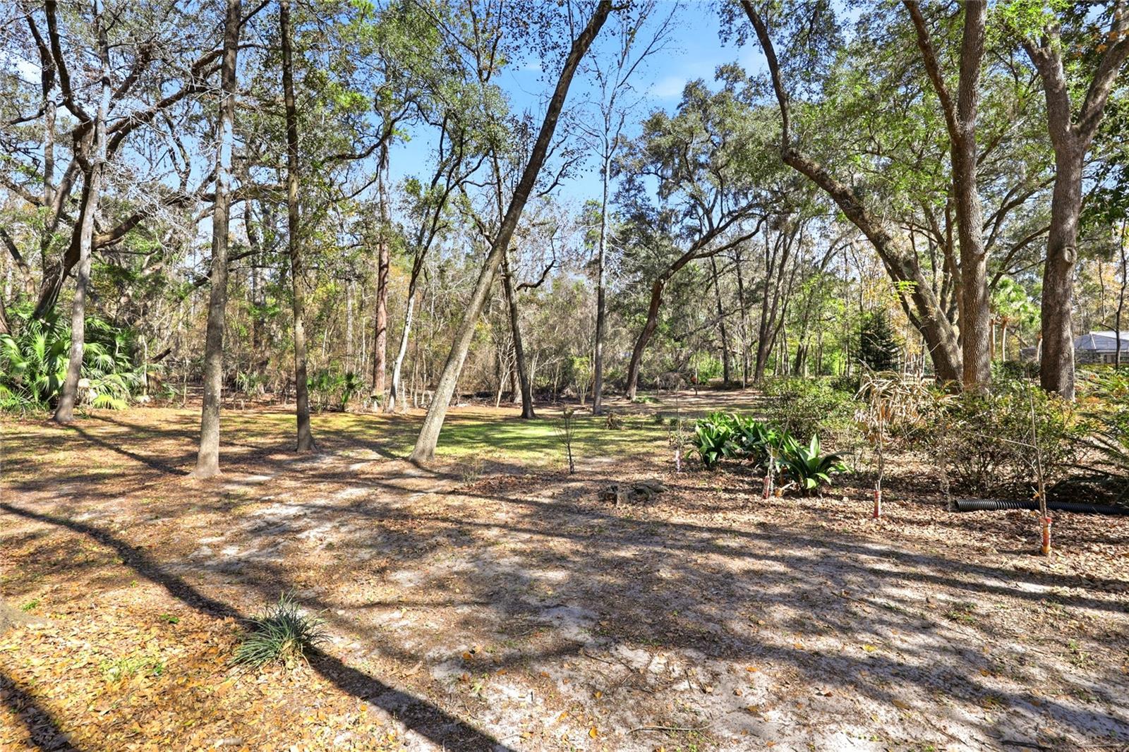 Image 55 of 62 For 10320 17th Place