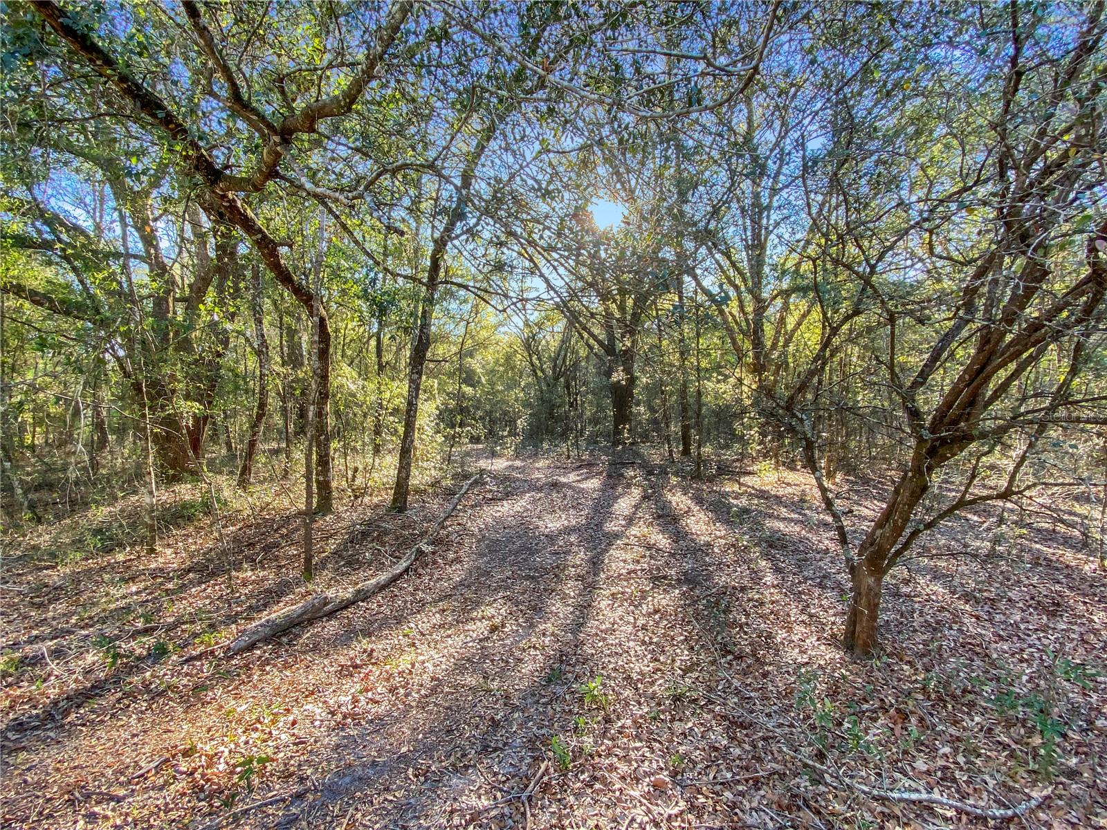 Image 3 of 11 For Sw Buffalo Ct