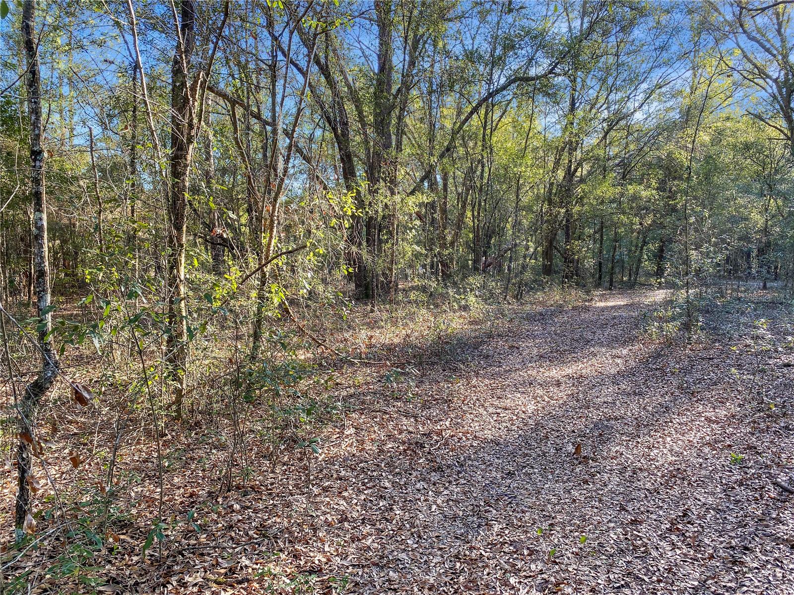 Image 4 of 11 For Sw Buffalo Ct