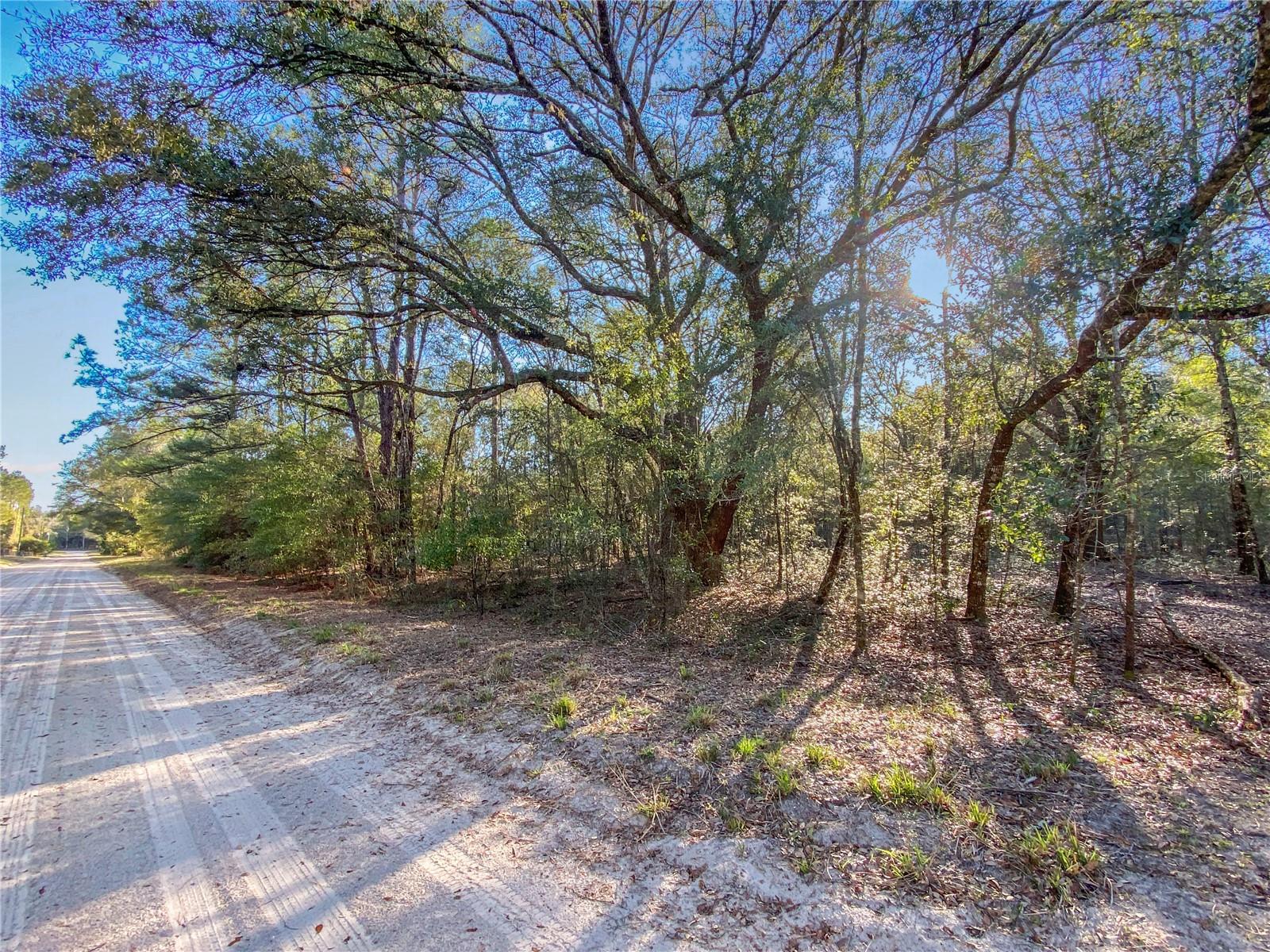 Image 5 of 11 For Sw Buffalo Ct