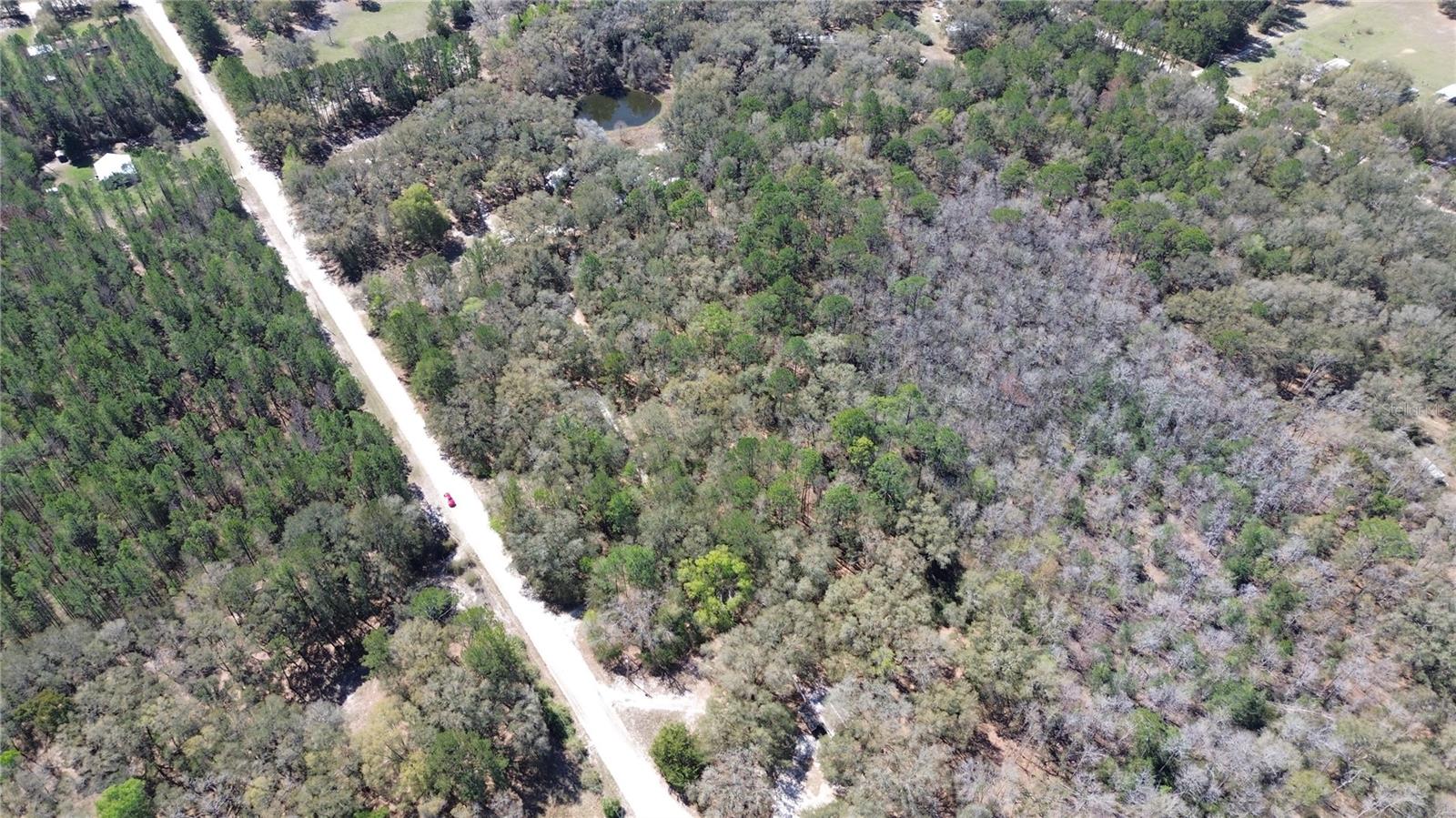 Image 7 of 11 For Sw Buffalo Ct