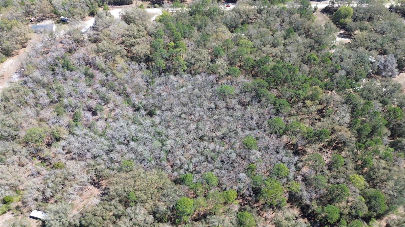 Image 8 of 11 For Sw Buffalo Ct