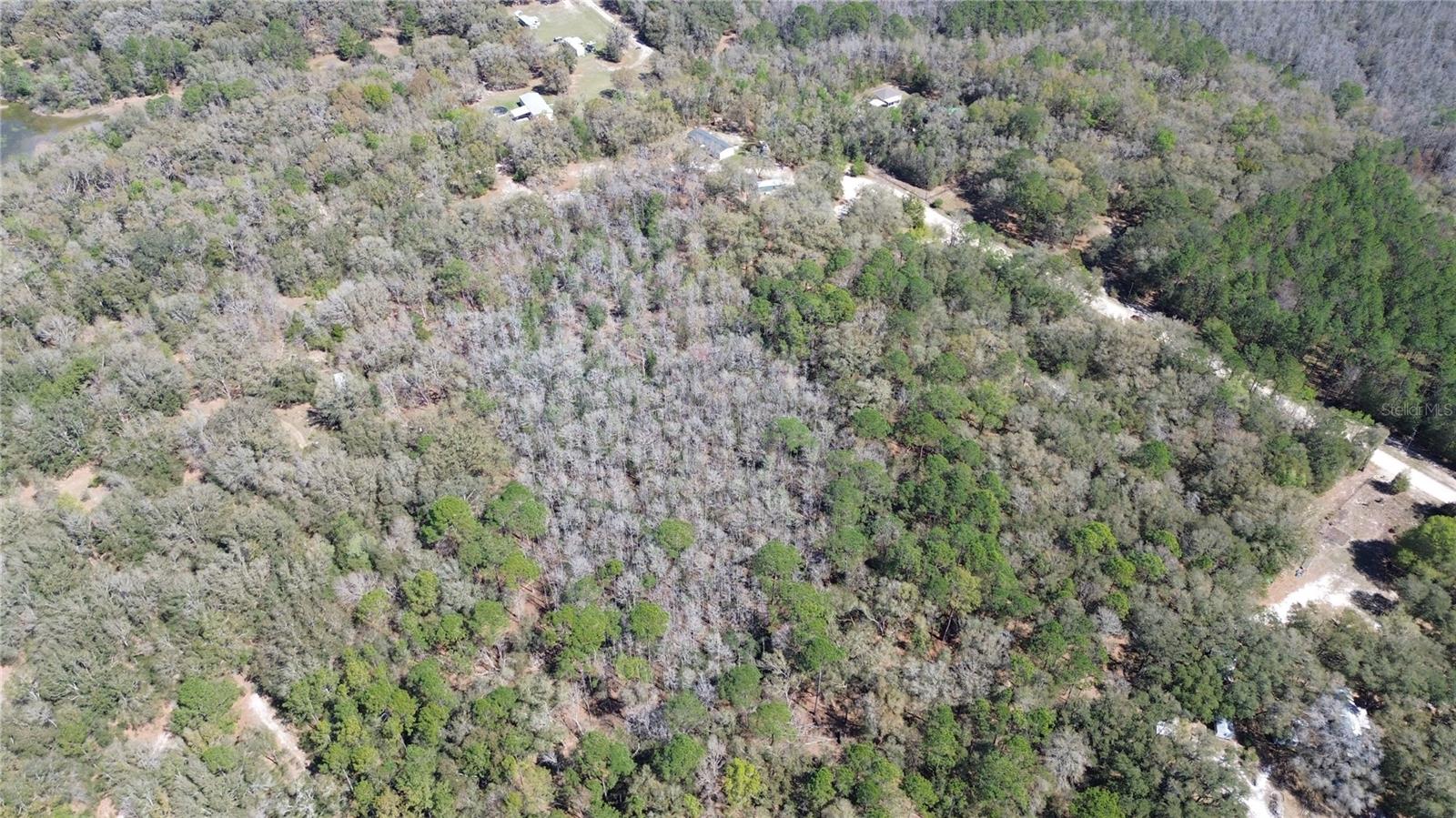 Image 9 of 11 For Sw Buffalo Ct