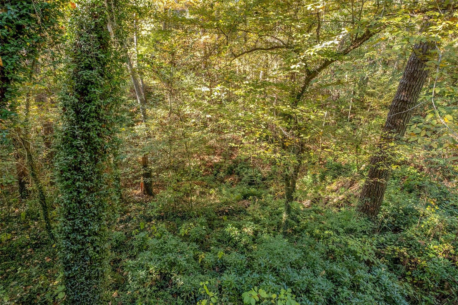 Image 46 of 54 For 2804 Glennis Court