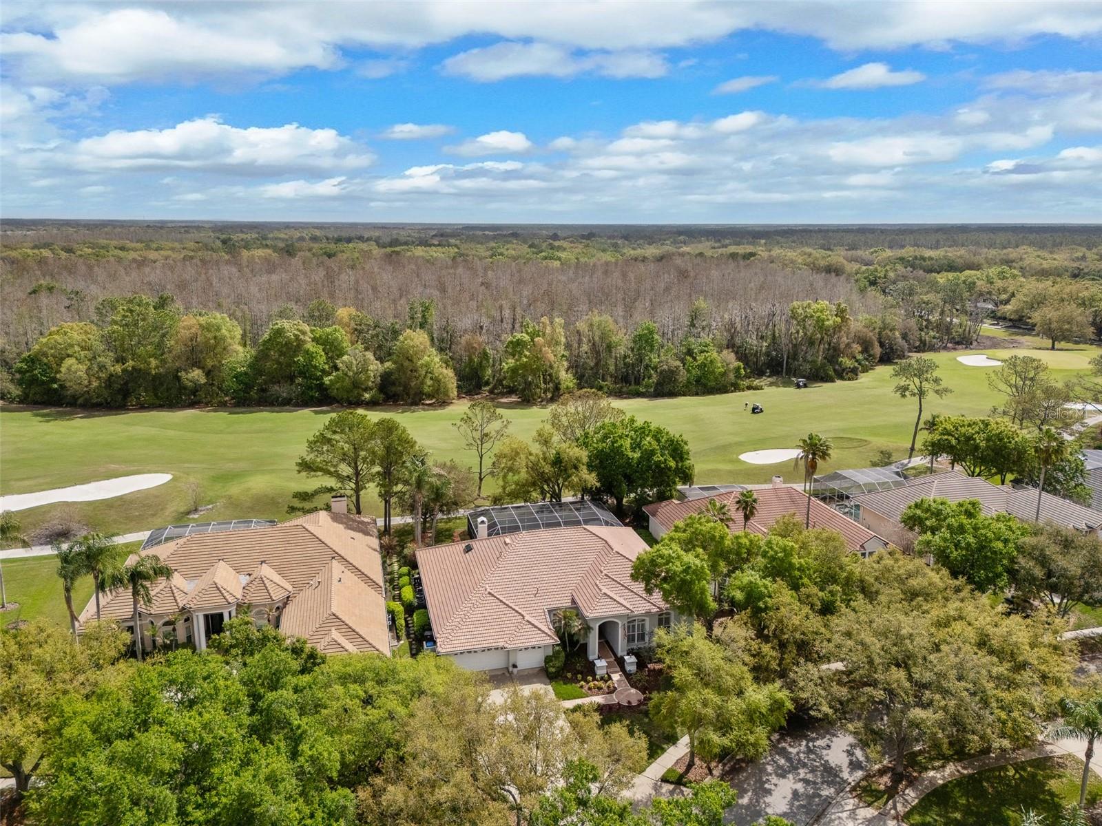 Image 2 of 30 For 17815 Osprey Pointe Place