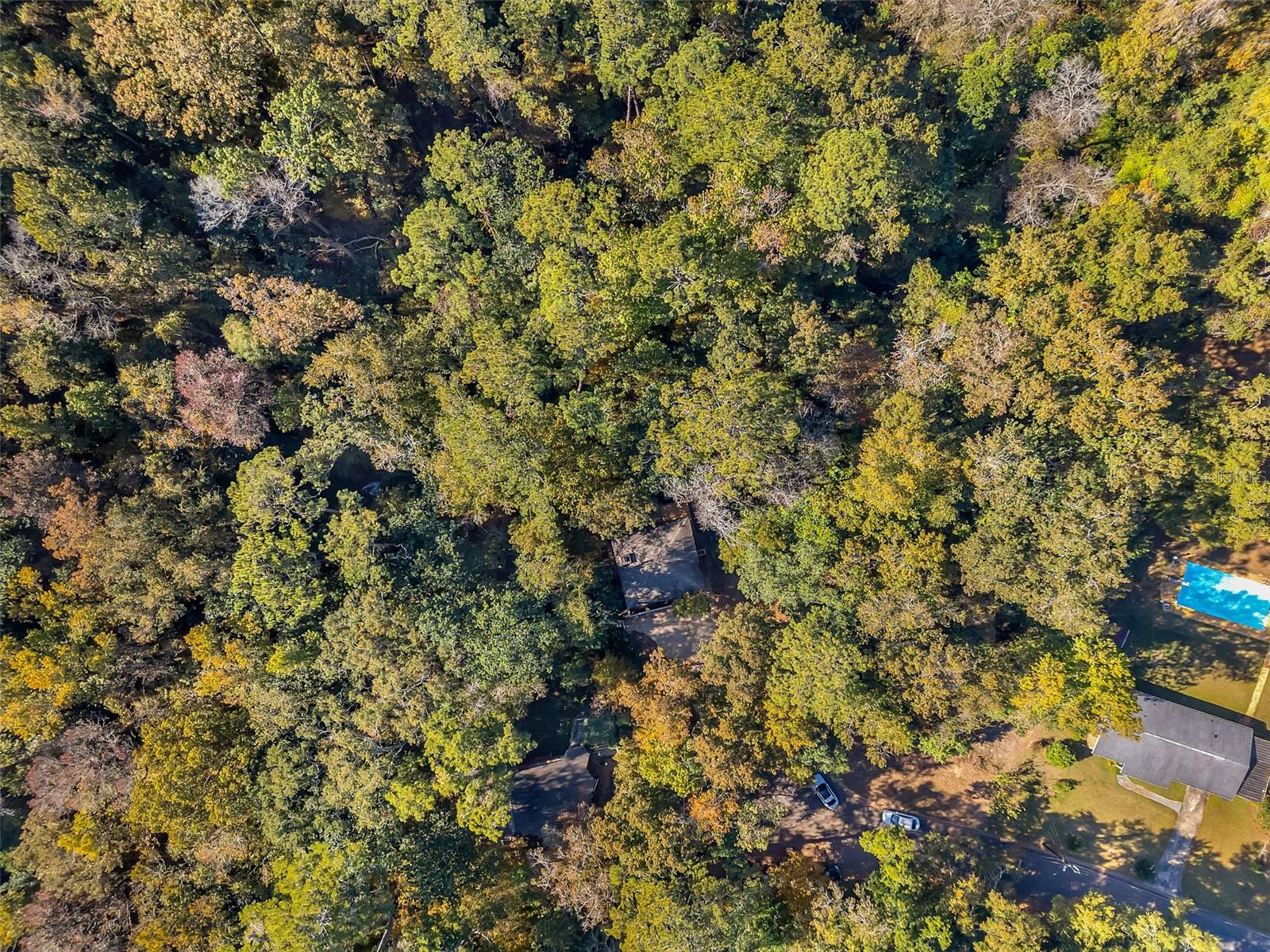 Listing Details for 0 Glennis Court, TALLAHASSEE, FL 32303