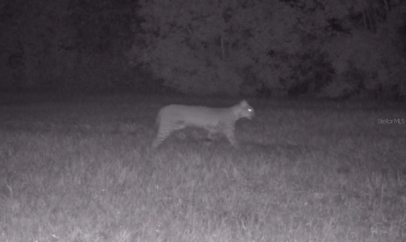 Image 37 of 94 For 11816 County Road 234