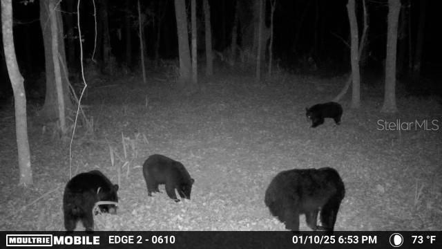 Image 39 of 94 For 11816 County Road 234