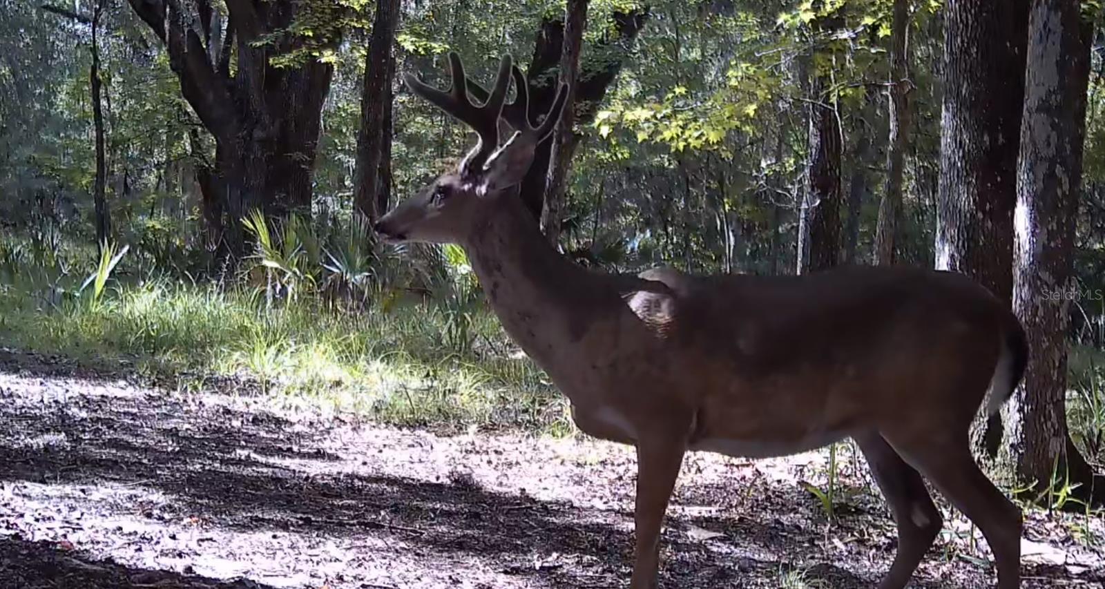 Image 45 of 94 For 11816 County Road 234