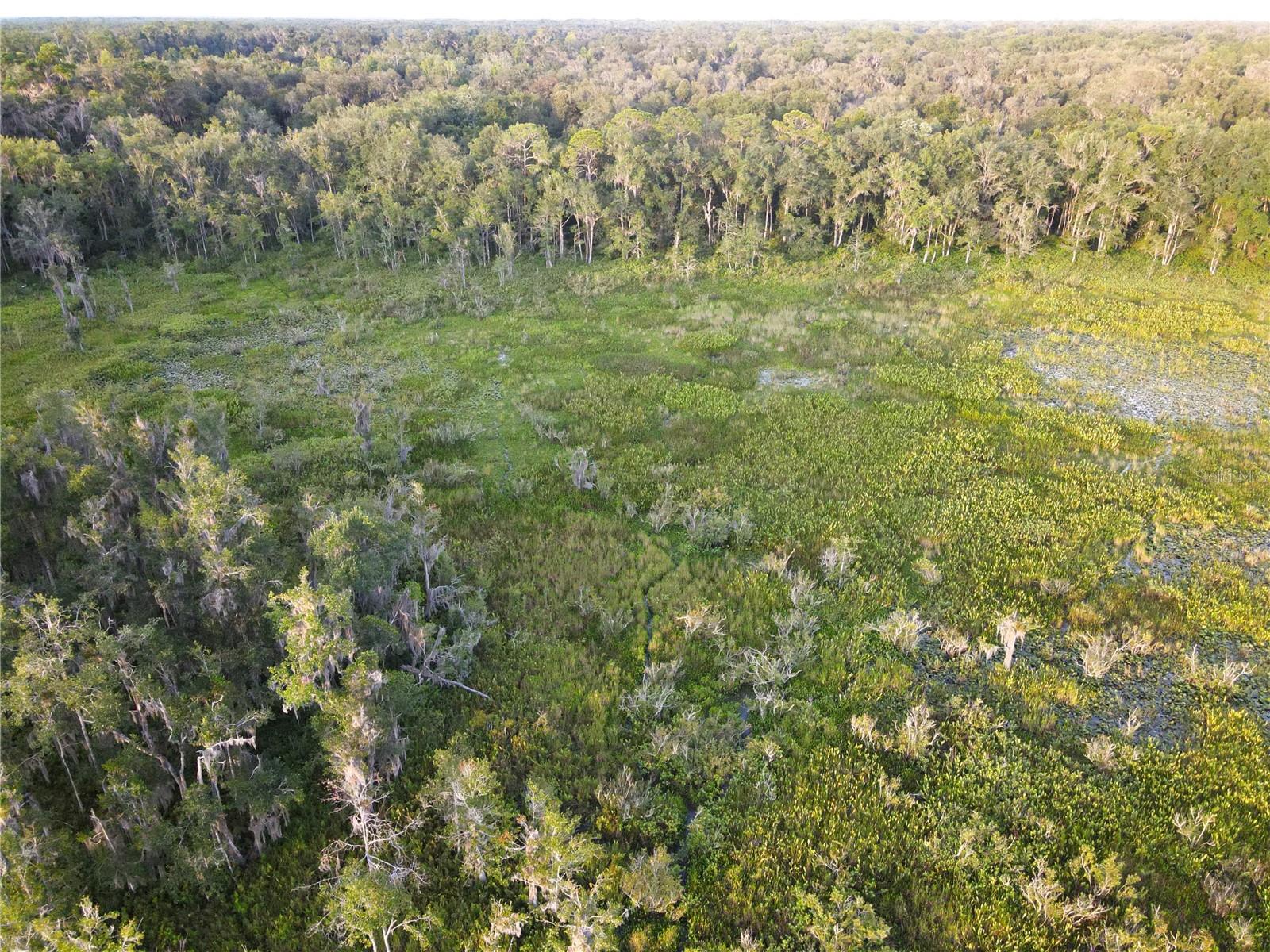 Image 46 of 94 For 11816 County Road 234