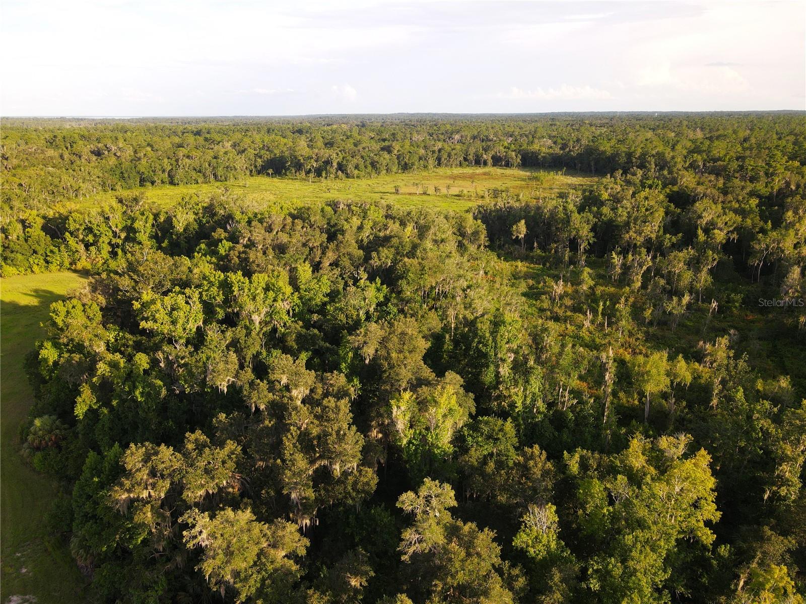 Image 85 of 94 For 11816 County Road 234